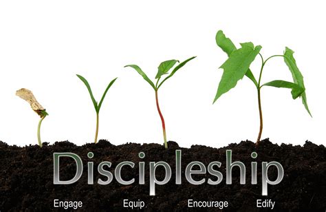 Discipleship 101 Candid Christianity