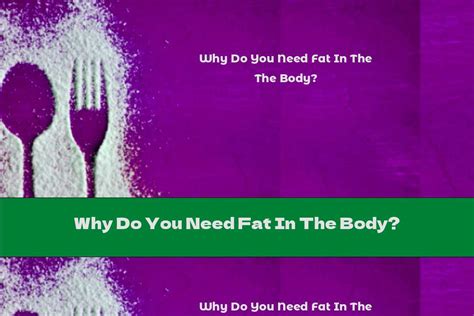 Why Do You Need Fat In The Body This Nutrition