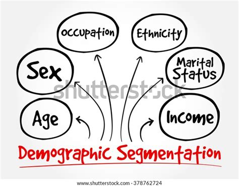 Demographic Segmentation Mind Map Flowchart Social Stock Vector