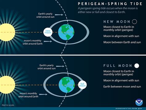 What Is A Perigean Spring Tide