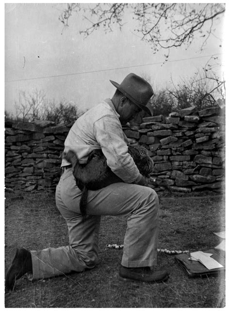 Man Kneeling With A Turkey Side 1 Of 2 The Portal To Texas History