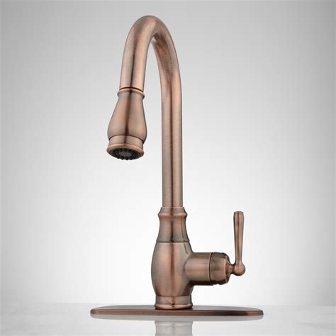 Shop kitchen faucets at acehardware.com and get free store pickup at your neighborhood ace. Hahn Pull-Down Kitchen Faucet with Deck Plate | Kitchen ...