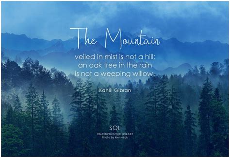 The Mountain Veiled In Mist Is Not A Hill An Oak Tree In The Rain Is
