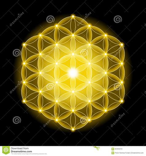 Golden Cosmic Flower Of Life With Stars On Black Background Stock