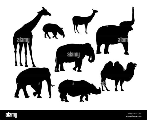 Group Of African Wildlife Stock Photo Alamy