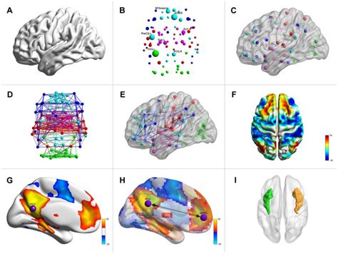 Brainnet Viewer A Network Visualization Tool For Human Brain
