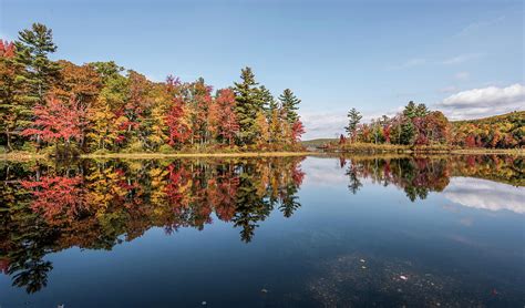 Autumn Colors In Litchfield County Photograph By Morris Finkelstein