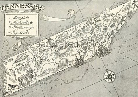 Tennessee Map Original Vintage 1950s Picture Map 1950s Fun Etsy