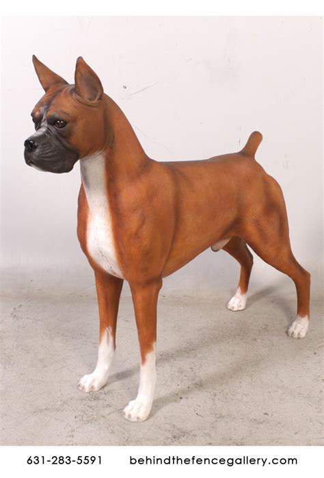 Boxer Dog Statue Boxer Dog Statue Life Size Statues Life Size