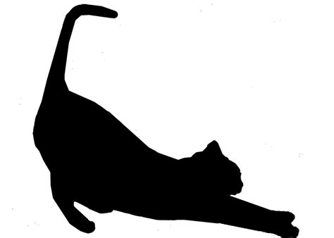 Gato Negro Silueta Recta Final En Stock De Foto Gratis Public Domain