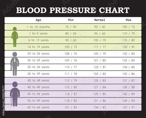 Blood Pressure Chart From Young People To Old People Stock Vector