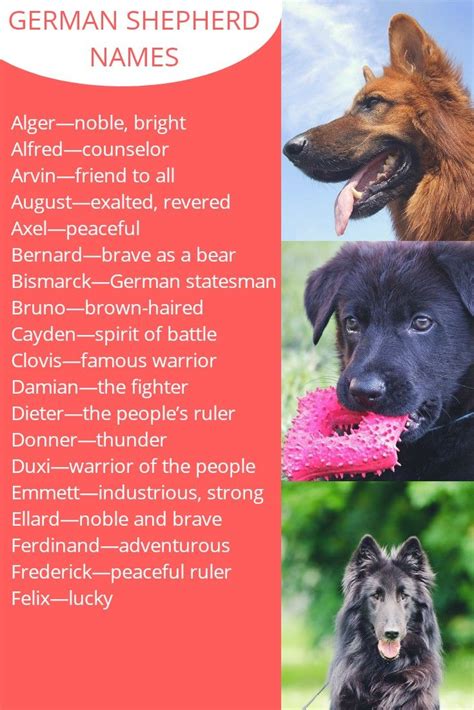 Male German Shepherd Names