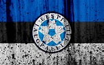 Download wallpapers Estonia national football team, 4k, logo, grunge ...