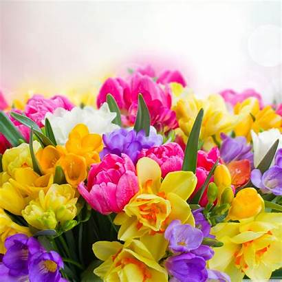 Flowers Spring Tablet Desktop Wallpapers 4k Widescreen