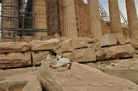 Греция требует вернуть мрамор Парфенона после серии краж из Британского