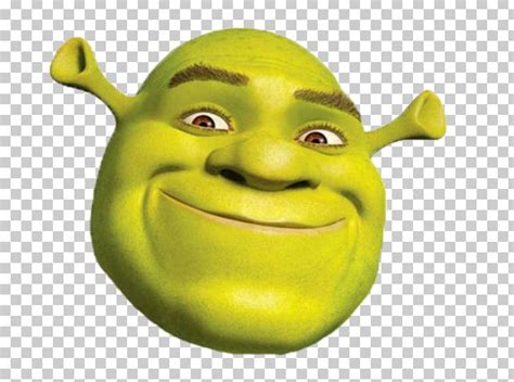 Shrek Face Png 10 Free Cliparts Download Images On Clipground 2024