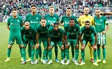 AS Saint-Étienne History, Ownership, Squad Members, Support Staff, and ...