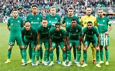 AS Saint-Étienne History, Ownership, Squad Members, Support Staff, and ...