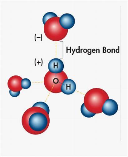 Hydrogen Water Molecule Bond Properties Transparent Clipart