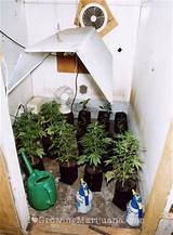 Marijuana Grow Closet Setup Photos