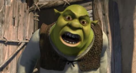 Shrek Memes A Guide To The Internets Most Memed Character