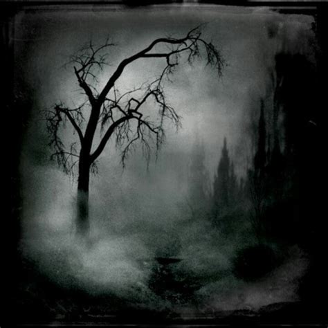 Spooky Tree Perception ♥ Night Vision☽ Clr Block Pinterest
