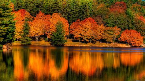 Colorful Autumn Leafed Trees Reflection On Calm Body Of