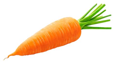 Premium Photo One Whole Carrot Isolated