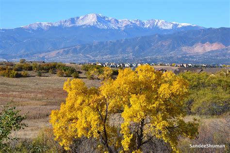 Shustrings Fall In Colorado Springs