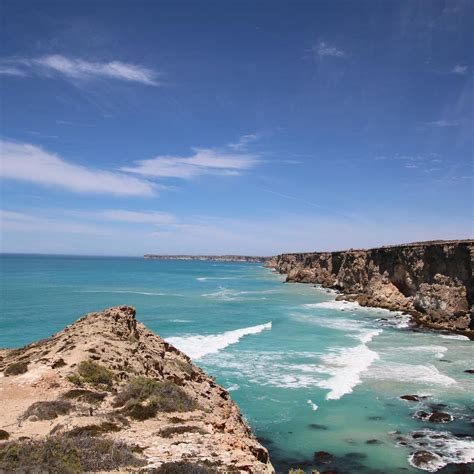 Great Australian Bight Nullarbor 2022 Lo Que Se Debe Saber Antes De