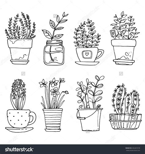 Flowers In Pots Painted Black Line On A White Background Vector