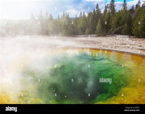 Colorful Morning Glory Pool Famous Hot Spring In The Yellowstone National Park Wyoming Usa