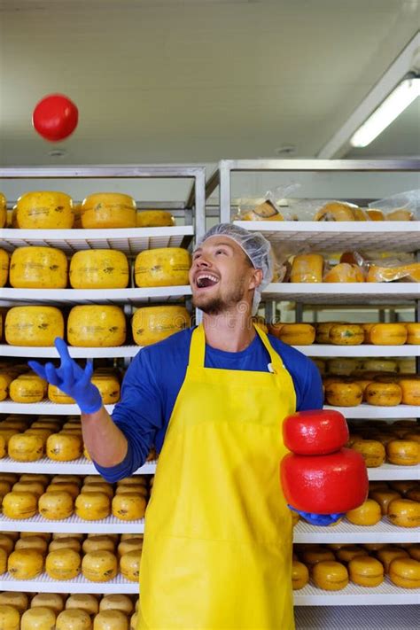 Handsome Cheesemaker Is Checking Cheeses In His Workshop Storage Stock