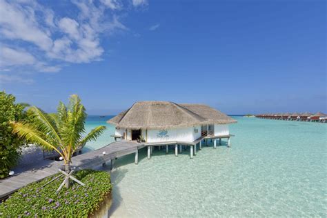 Safari Island Resort Maledivy Ari Atoll Via Travel