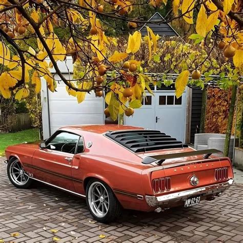 USA Antique cars | Chicago IL