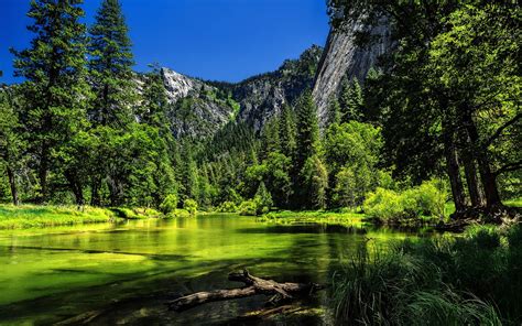 Yosemite National Park, California, USA, lake, green trees, mountain
