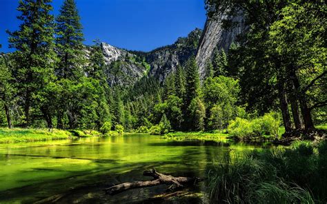 Yosemite National Park California Usa Lake Green Trees Mountain