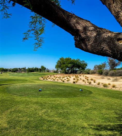 Arizona Desert Golf Course Stock Photo Image Of Green 239526864