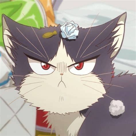 Doukyonin Wa Hiza Is Freaking Cute Anime Anime Cat Kawaii Anime
