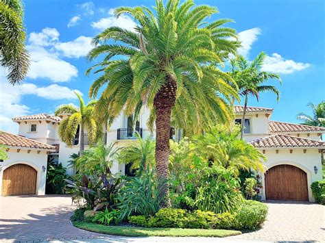 Best Types Of Palm Trees For Outside Landscaping Design