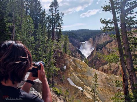 Waterfalls Upper Falls Of The Yellowstone Artist Point Yellowstone
