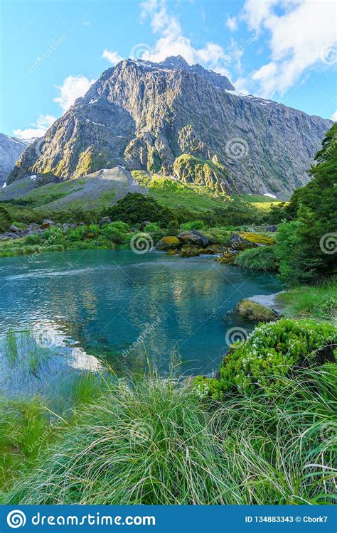 Turquoise River In The Mountains Fiordland New Zealand 6 Stock Image