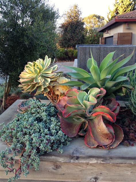 40 Amazing Succulents Garden Decor Ideas For 2019 Succulent Garden Design Succulents Huge