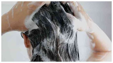 अगर आप इस तेल को शैंपू में मिलाकर अपने बालों को धोएंगे तो आपके बाल तेजी
