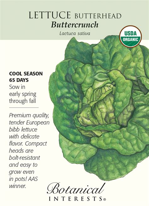 Butterhead Buttercrunch Lettuce Seeds 1g Organic Hirts Gardens