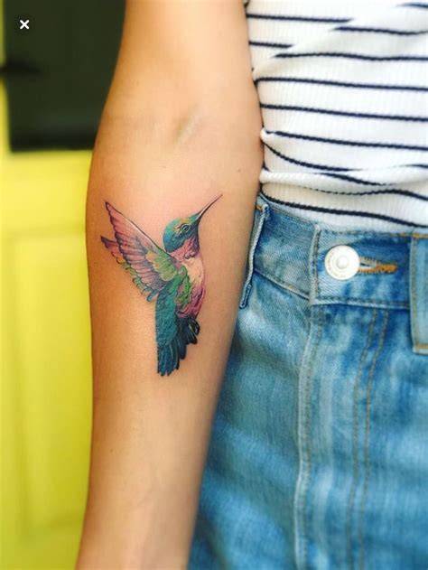 Pin De Megan Hale En Products I Love Colibri Tatto Tatuajes Colibri