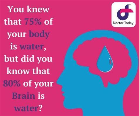 Dont Forget To Hydrate Your Mind And Your Brain Water Health