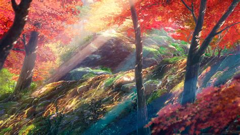 Your Name Hd Wallpaper Background Image 1920x1080 Id862062