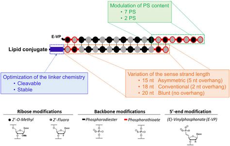 Variation Of Sirna Chemical Structure Ps Content And Linker Chemistry