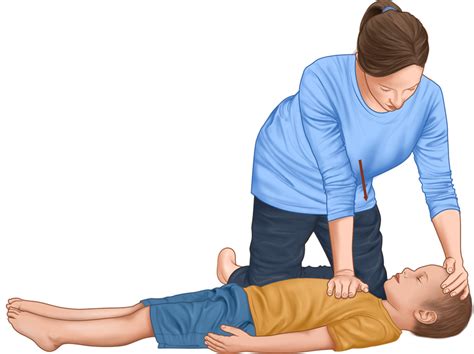 How Cpr Is Performed On A Child First Aid Course